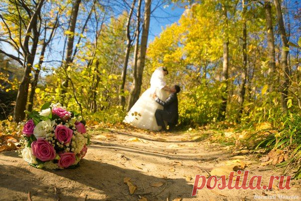 Новые фотографии