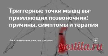 Триггерные точки мышц выпрямляющих позвоночник: причины, симптомы и терапия Статья автора «Йога для начинающих для здоровья» в Дзене ✍:  Мышца выпрямляющая позвоночник  Триггерные точки мышц выпрямляющих позвоночник: причины, симптомы и лечение  Если у вас болит спина, это...