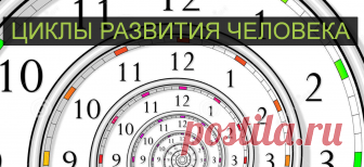 Человеческая жизнь развивается семилетними циклами. Каждый цикл завершается кризисом, ведущим к следующему этапу.  От 0 до 7 лет   Сильная связь с матерью. Горизонтальное познание мира. Создание чувств. Запах матери, молоко матери, голос матери, тепло матери, поцелуи матери являются первыми ощущениями. Период, как правило, заканчивается вылуплением из защитного кокона материнской любви и открытием более или менее холодного остального мира.   От 7 до 14 лет  Сильная связь с...