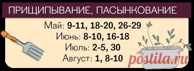 Лунный календарь посева помидоров на 2018 год | Томаты (Огород.ru)
