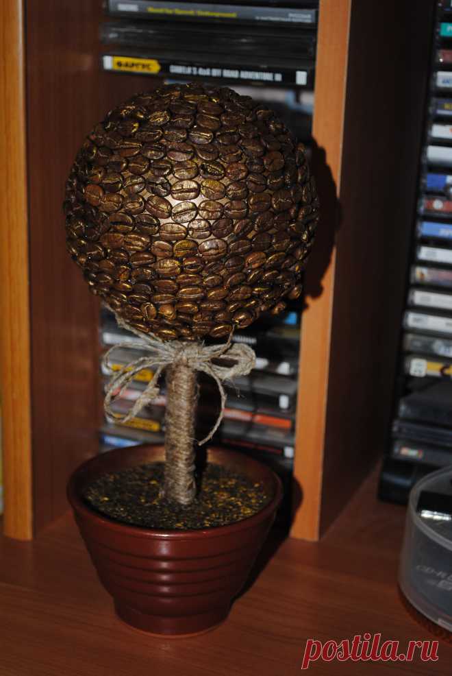 кофейное дерево