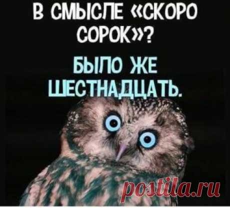 (21) Группа "ВСЕ БАБЫ, КАК БАБЫ, А МОЯ БОГИНЯ!""