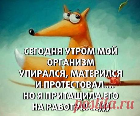 прикол