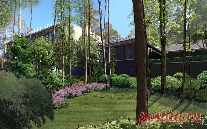 Многоуровневый сад в Жуковке - ARCADIA GARDEN Landscape studio