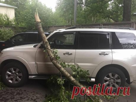 49-летняя Яна Поплавская стала жертвой московского урагана