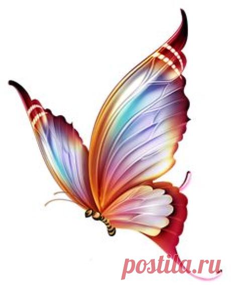 ya.svetajud — «Butterfly 21.png» на Яндекс.Фотках
