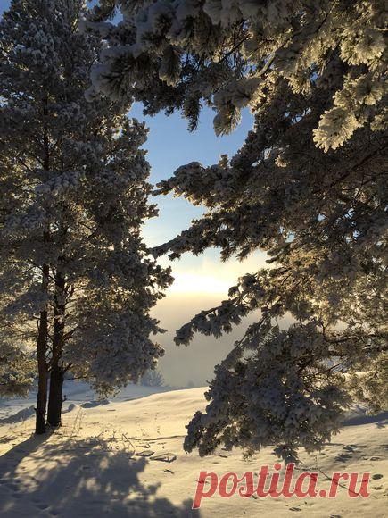 Уральская зима.  Фото: © Евгений Шамиев.  Окрестности Нижней Туры!  Метки: природа, солнечный день. 
| Уральская зима — National Geographic Россия