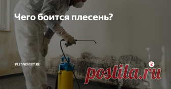 Чего боится плесень? Плесень может появляться в любых помещениях и часто становится причиной не только эстетических дефектов на поверхности стен или потолка, но и провоцирует развитие некоторых серьезных заболеваний. Если в доме появилась плесень, нужно выяснить причину ее образования. Также важно знать, чего боится плесень, и какие существуют методы борьбы с ней. Это поможет устранить плесневые грибки на ранней стади