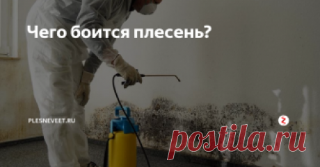 Чего боится плесень? Плесень может появляться в любых помещениях и часто становится причиной не только эстетических дефектов на поверхности стен или потолка, но и провоцирует развитие некоторых серьезных заболеваний. Если в доме появилась плесень, нужно выяснить причину ее образования. Также важно знать, чего боится плесень, и какие существуют методы борьбы с ней. Это поможет устранить плесневые грибки на ранней стади