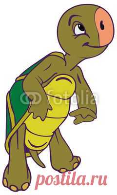 green terrapin из vadim0001. Роялти-фри вектор #65972016 на Fotolia.ru
