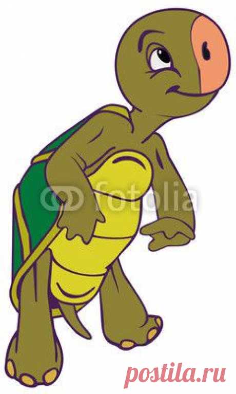 green terrapin из vadim0001. Роялти-фри вектор #65972016 на Fotolia.ru