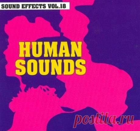 Download SFX Connection Human Sounds [FLAC] - DJ SOFT/ Samples - MusicVibez Download SFX Connection Human Sounds [FLAC] in 320 kbps, FLAC and WAV — fresh DJ releases 24 March 2026 | 153 MB Human Sounds 72 SFX | 47 MINUTES