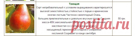 Интернет каталог частного питомника &quot;Флора&quot;