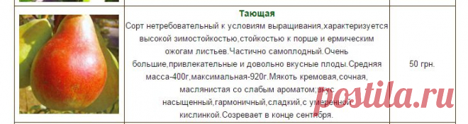 Интернет каталог частного питомника "Флора"