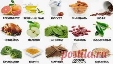 КНИГА О ВКУСНОЙ И ЗДОРОВОЙ ПИЩЕ