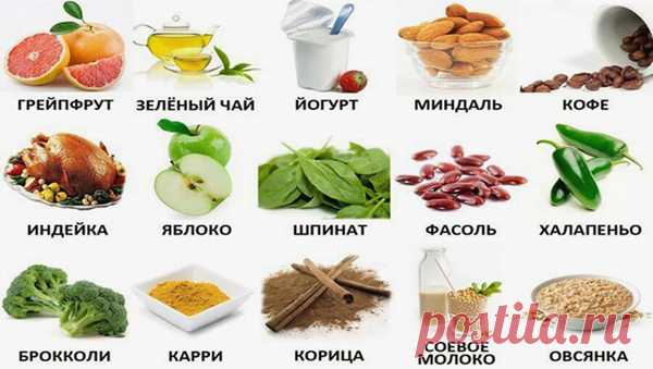 КНИГА О ВКУСНОЙ И ЗДОРОВОЙ ПИЩЕ