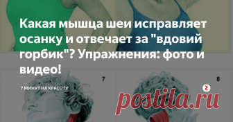 Какая мышца шеи исправляет осанку и отвечает за 