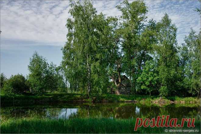 Лучшее время оправиться отдохнуть. Очарование Русского  пейзажа