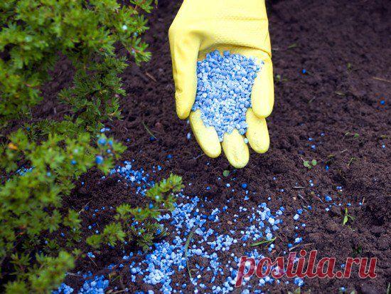 Правильная дозировка удобрений