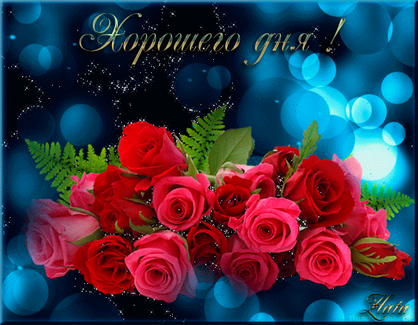 Архив открыток отправленных 19 Января 2015 года. Добавили: Анютка Пригожина, Александр Горячев, Aлефтина Чайка В Дру, Людмила Артамонова, Светлана Ивачева, Владимир Абрасимов, Старушка Шапокляк, Елена Мельникова, Василий Шевченко, Серж Огнёв , Nina Konisidi, Игорь Кузнецов