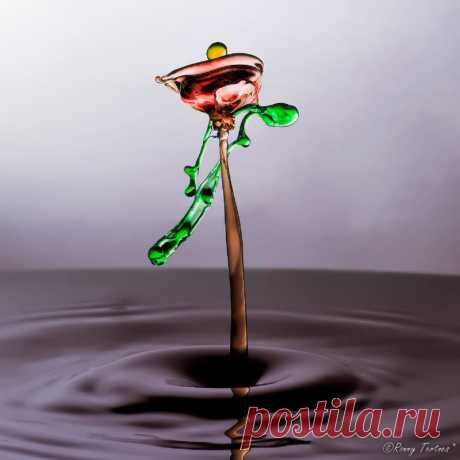 Liquid Sculptures by Ronny Tertnes