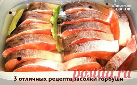 3 отличных рецепта засолки горбуши в домашних условиях