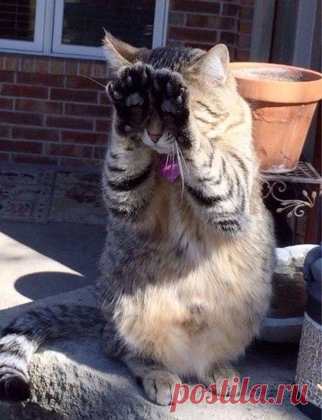 Я в домике | Позитив