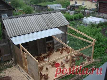 Построить курятник