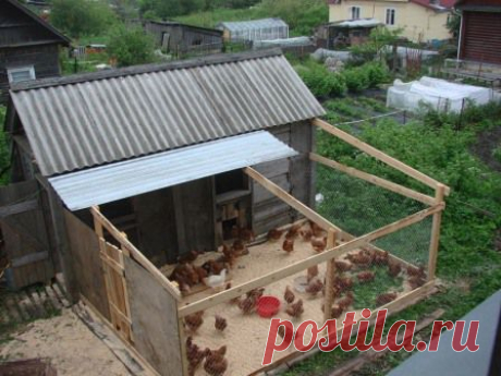 Построить курятник
