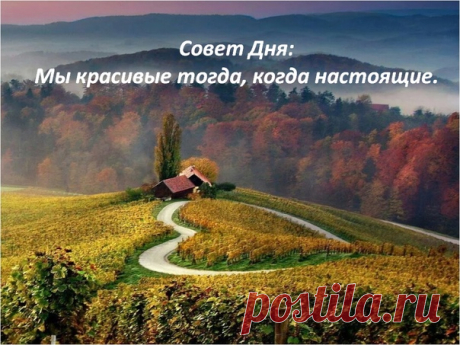 Совет Дня: