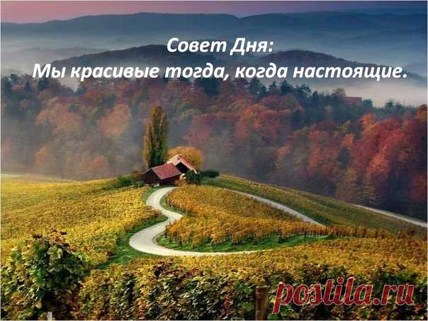 Совет Дня: