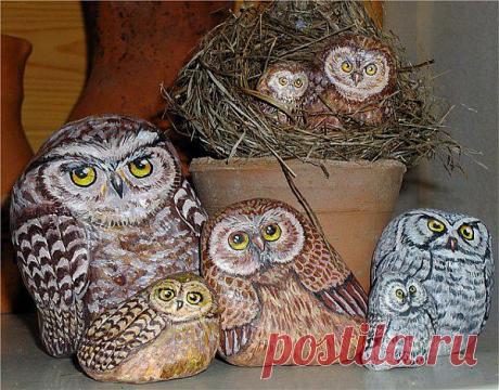 МИЛЫЕ СОВЯТА)