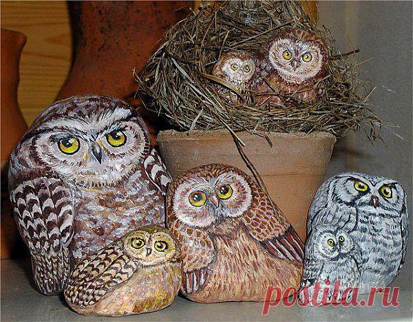 МИЛЫЕ СОВЯТА)