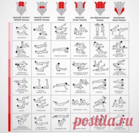 Лучшие упражнения на пресс &