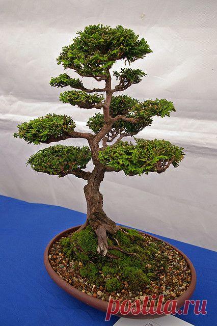 Фотографии от пользователя sjdunphy на flickr
(cc)  |  Pinterest