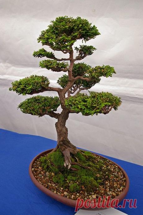 Фотографии от пользователя sjdunphy на flickr
(cc)  |  Pinterest