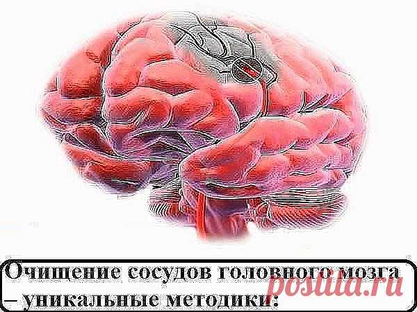 Всего одно вареное яйцо в день снижает уровень сахара в крови! 
Наше здоровье зависит от многих факторов. Окружающая среда, стрессы, неправильный режим питания и сидячий образ жизни стимулируют развитие многих болезней. Одним из таких заболеваний является сахарный диабет. Это серьезная болезнь, связанная с увеличением уровня сахара в крови. Количество людей, страдающих сахарным диабетом, постоянно растет. 
Сахарный диабет II типа наиболее распространенный в мире. Люди, стр...