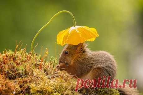 Когда мы счастливы, мы так добры. 
Достоевский Ф. М.﻿