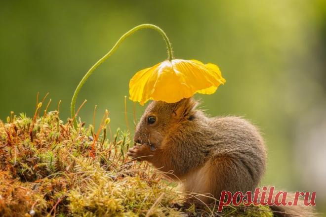 Когда мы счастливы, мы так добры. 
Достоевский Ф. М.﻿