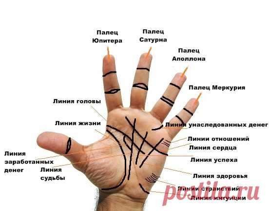Что говорят о вас главные линии на руке?