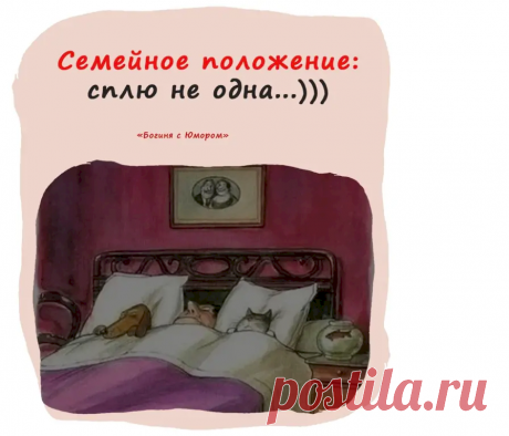 Выпуск №6722 - выпуск анекдотов сайта вокруг смеха