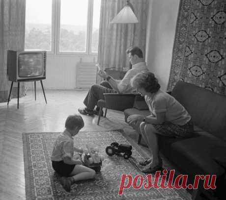 25 фотографий, на которые невозможно смотреть равнодушно