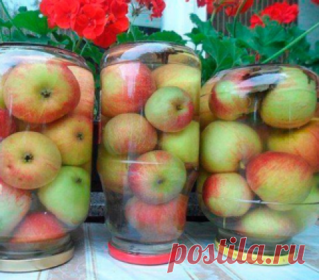 Моченые яблоки рецепт в домашних условиях Мочение, как и соление и маринование, в первую очередь несет в себе важные функции сохранения урожая на зиму. Поэтому моченые яблоки в домашних условиях – это практически бренд. Ничего подобного в других национальных кухнях не встретишь. Для мочения яблок вывели даже специальный сорт – “антоновка” он  идеально подходит для замачивания, да и для запекания тоже. …