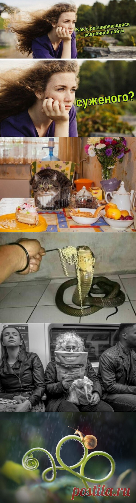 Подборка прикольных картинок и фотографий-266