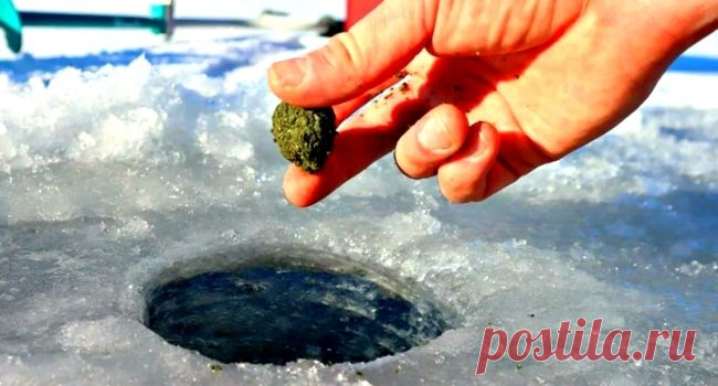 Прикормка для окуня зимой своими руками. 3 рецепта &bull; Мега Рыбак