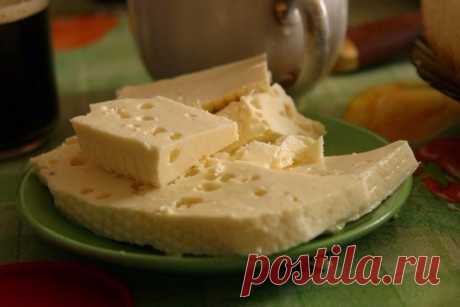 Домашний сыр / Изысканные кулинарные рецепты