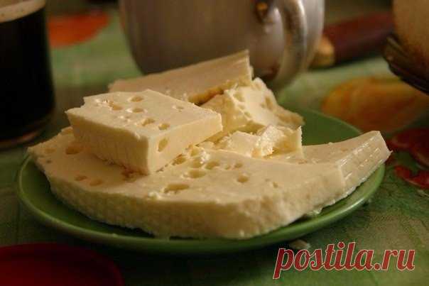 Домашний сыр / Изысканные кулинарные рецепты