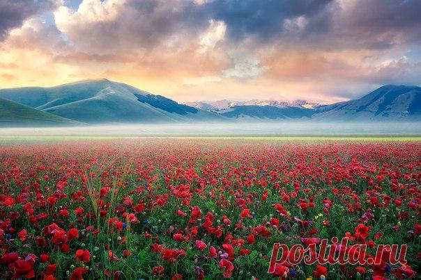 Перуджа, Италия.