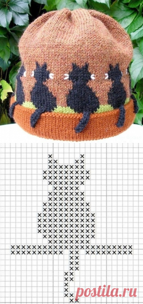 Кошки с хвостиками