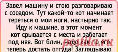 15+ доказательств того, что котики — те же люди, только мягкие и пушистые